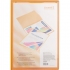 Папка пластиковая на 20 файлов с карманом на форзаце, А4 AXENT 1020-25-a оранжевая 0