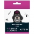 Крейда воскова Jumbo, 12 кольорів в упаковці Dogs Kite k22-070 0
