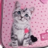 Набір рюкзак + пенал + сумка для взуття Studio Pets Kite set_sp25-555s-1 12