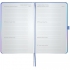 Щотижневик 2027 Partner Daily Shine, 125*195, Professional, Axent 8532-27-2-a 1