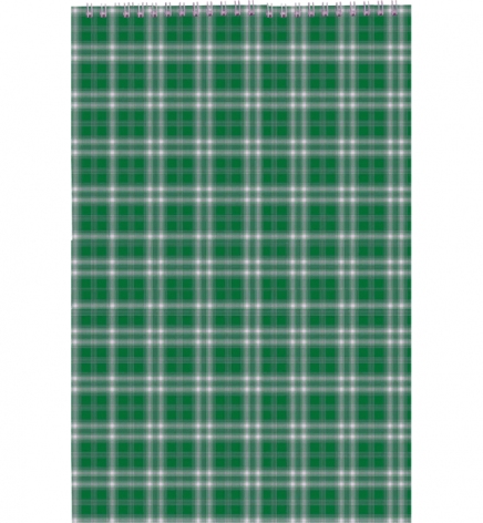 Блокнот на пружині, А4, 48 арк., клітинка, картонна обкладинка Buromax BM.2460-04 зелений