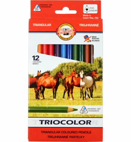 Олівці кольорові Triocolor Jumbo 