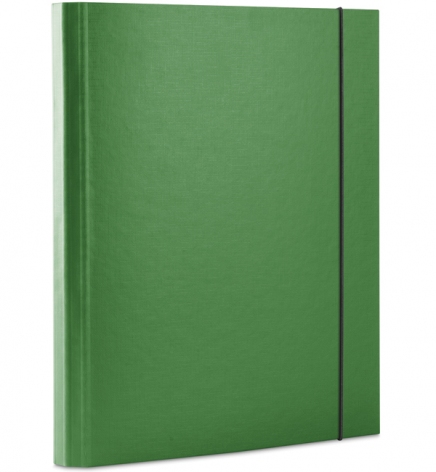 Папка-бокс А4 картонна на резинках, ширина 40 мм DONAU 2076001PL-06 зелений