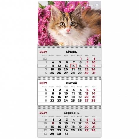 Календарь настенный квартальный 2027 на три пружины Cats 3, Axent 8803-27-9-a