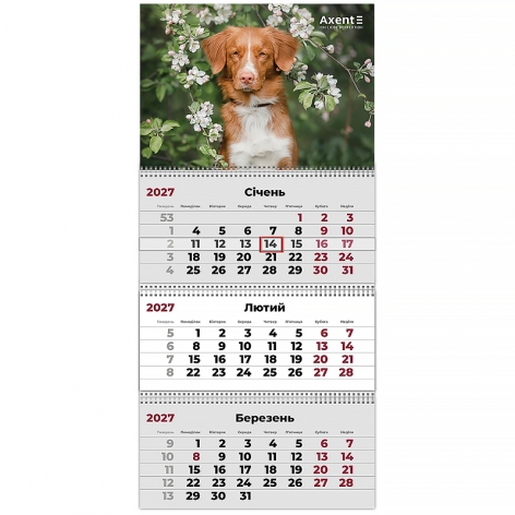 Календар настінний квартальний 2027 рік на три пружини Dogs 2, Axent 8803-27-11-a