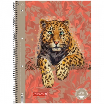 Коледж-блок А4 Premium, в линию 80 листов Safari, Brunnen 10-679 27 221