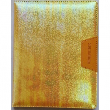 Дневник школьный, формат 167 х 211 мм обложка из кожзама в твердом переплете Bourgeois SD1418 нашивка с тиснением