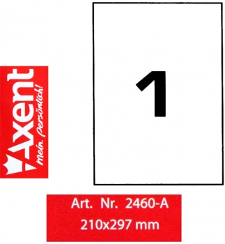Етикетки самоклеючі 1 шт. на аркуші, 210 х 297 мм (100 аркушів) Axent 2460-A