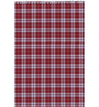 Блокнот на пружине, А4, 48 л., клетка, картонная обложка Buromax BM.2460-13 бордовый