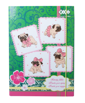 Папка для труда LOVELY DOG, картонная, на резинке А4 (300х212х28мм), ZiBi KIDS Line ZB.14931 Папка для труда LOVELY DOG, картонная, на резинке А4 (300х212х28мм), ZiBi KIDS Line ZB.14931