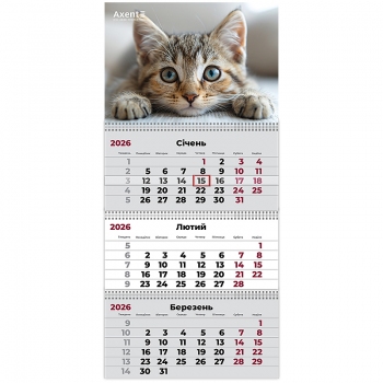 Календар настінний квартальний 2026 рік, на три пружини Cats 1 Axent 8803-26-13-a