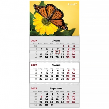 Календар настінний квартальний 2027 рік на три пружини Butterflies 2, Axent 8803-27-5-a