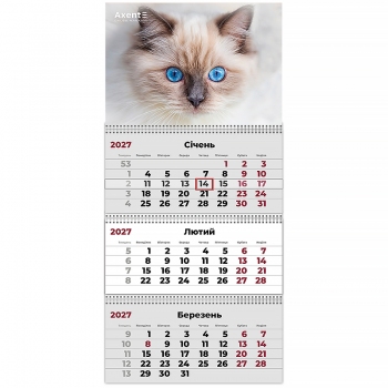 Календарь настенный квартальный 2027 на три пружины Cats 2, Axent 8803-27-8-a