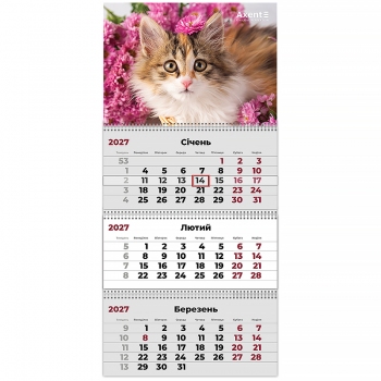 Календарь настенный квартальный 2027 на три пружины Cats 3, Axent 8803-27-9-a