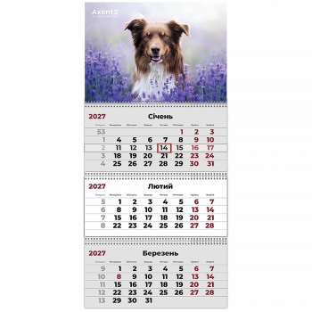Календарь настенный квартальный 2027 на три пружины Dogs 1, Axent 8803-27-10-a