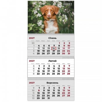 Календарь настенный квартальный 2027 на три пружины Dogs 2, Axent 8803-27-11-a