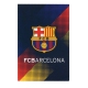 Блокнот на 48 листов, формат 70 х 105 мм клеевой FC Barcelona Kite BC17-224