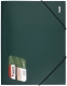 Папка пластиковая на резинках непрозрачная тонированная A4, Axent 1508-05-A зеленый