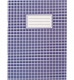 Зошит  А4 картонна обкладинка, 48 арк., клітинка, Buromax BM.2450