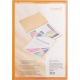 Папка пластиковая на 20 файлов с карманом на форзаце, А4 AXENT 1020-25-a оранжевая